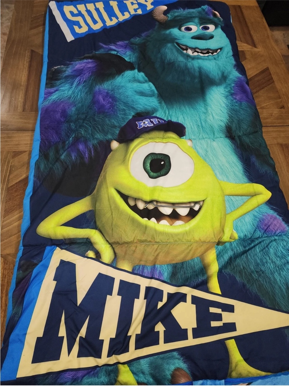 Monsters, Inc. Sulley & Mike Kids Sleeping Bag - Blue & Green